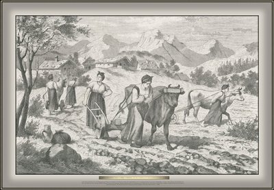 Book Before the Plow Drawn by Women of the Gödsch in Lower Carniola by G. Arnould